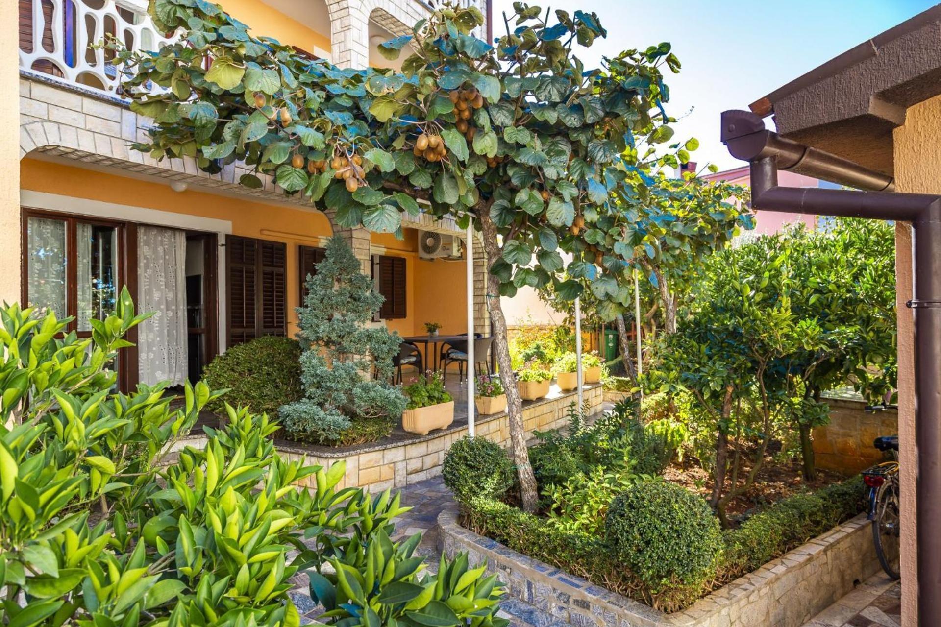 Apartments Mir Fažana Dış mekan fotoğraf